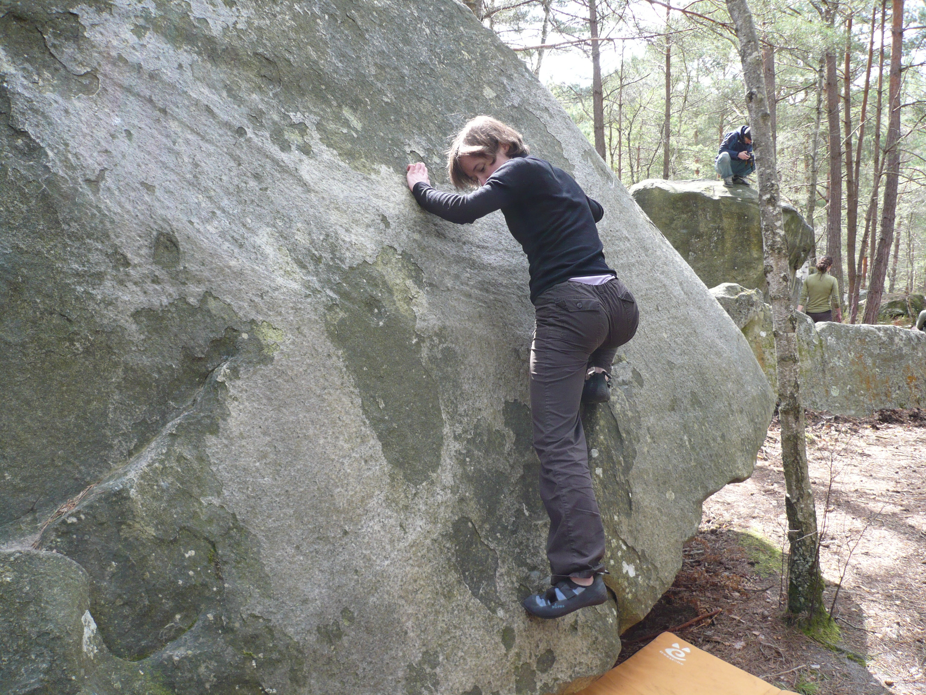 Sortie enfants à Fontainebleau